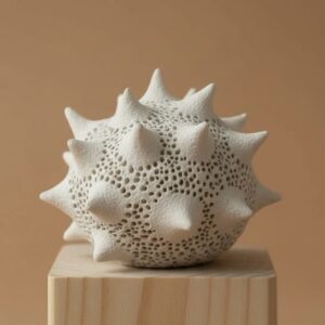 Graine de fond - small n°1